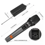 X230 Dual Wire and Wireless Professional UHF Microphone System Best Price in Sri Lanka From Dealhub.lk