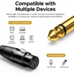 UGREEN 6.35mm to XLR Female Cable 2M 20719 Professional Microphone Cord Best Price in Sri Lanka From Dealhub.lk