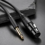 UGREEN 6.35mm to XLR Female Cable 2M 20719 Professional Microphone Cord Best Price in Sri Lanka From Dealhub.lk